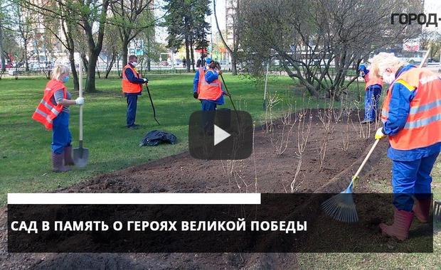 Embedded thumbnail for Тысячи деревьев и цветов украсят Петербург ко Дню Победы